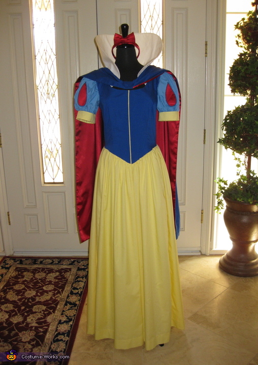 DIY Snow White Costume Idea  Diy snow white costume, Snow white