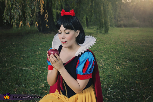 Snow White Costume | DIY Costumes Under $25 - Photo 2/5