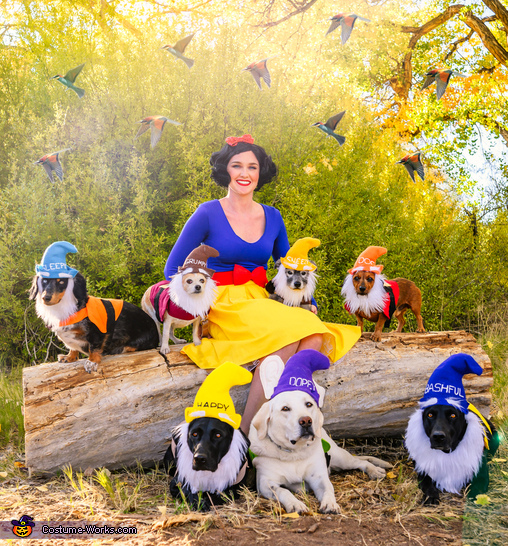 Snow White and the Seven Dwarfs Costume