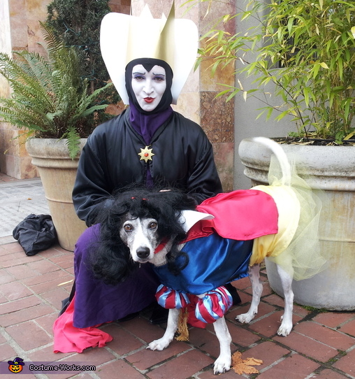 homemade evil queen costume