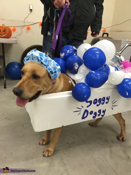 Soggy Doggy Costume