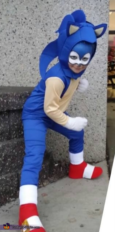 Sonic Costume