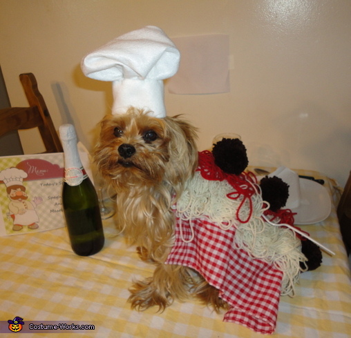 Spaghetti and Meatballs Dog Costume