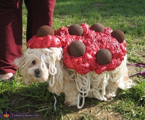 Spaghetti and Meatballs Costume for Dogs