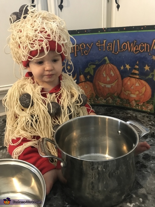 Spaghetti and Meatballs Costume