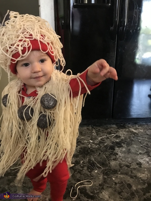 DIY Spaghetti and Meatballs Costume - Photo 2/2