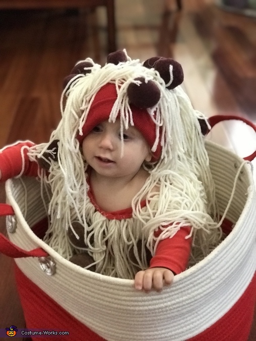 Spaghetti and Meatballs Baby Costume | Original DIY Costumes - Photo 3/3