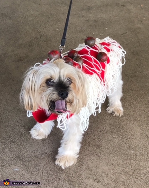 Spaghetti & Meatballs Costume