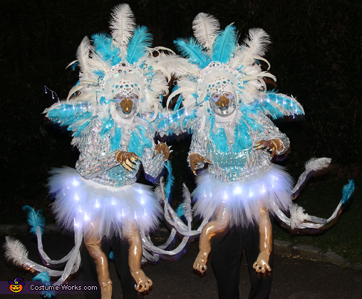 Sparkly Ice Phoenixes Costume