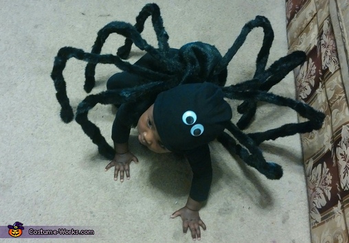 Spider Baby Costume