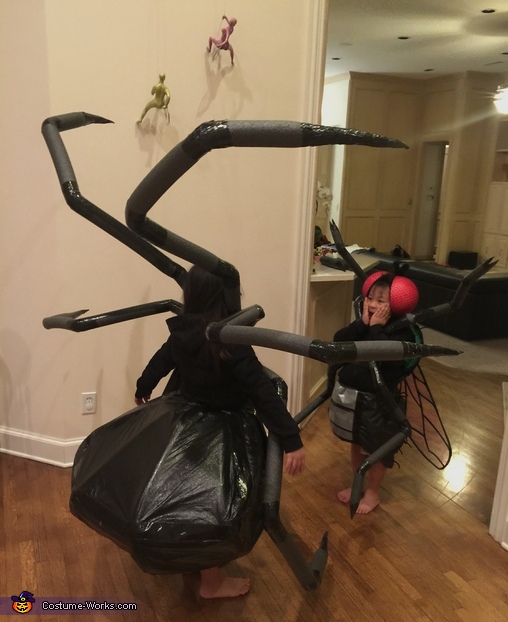 Spider & Fly Costume