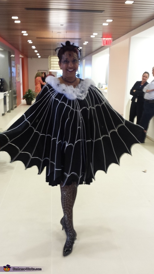 Spider Web Costume