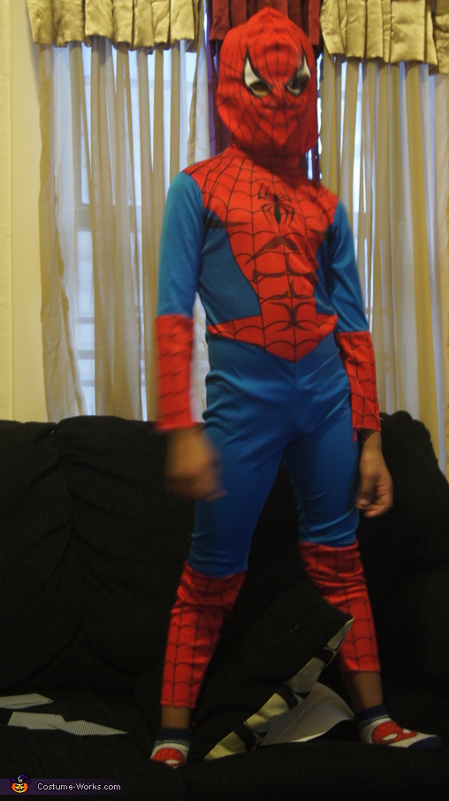 Spiderman Costume | Halloween Party Costumes - Photo 4/5