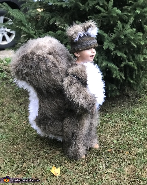 Squirrel Costume