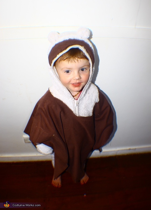 Star Wars Ewok Baby Costume No Sew Diy Costumes - Diy Toddler Ewok Costume