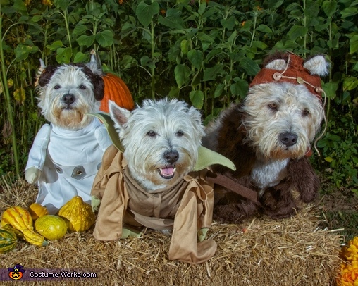 Star Wars Terriers Costume