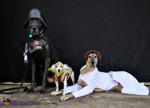 Star Wars: The Canines Strike Back Costume