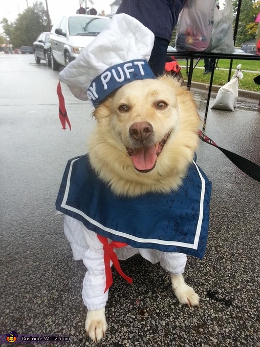 Stay Puft Dog Costume