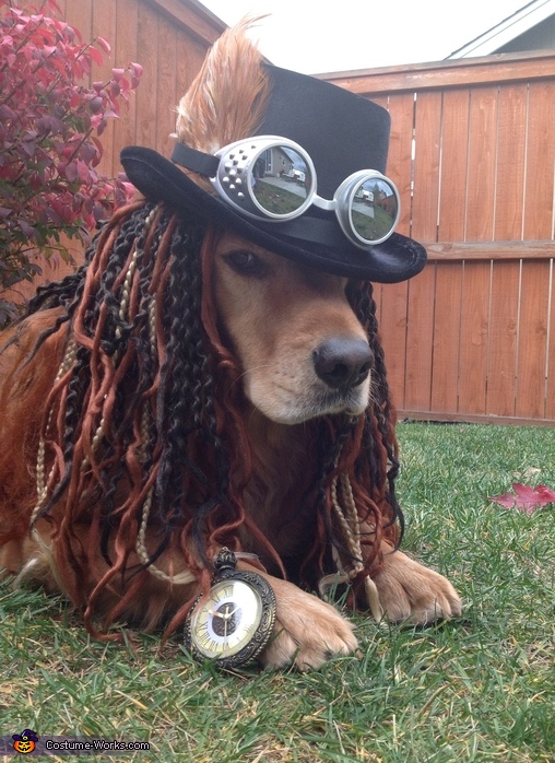Steampunk Costume Idea for Dogs | DIY Costumes Under $25
