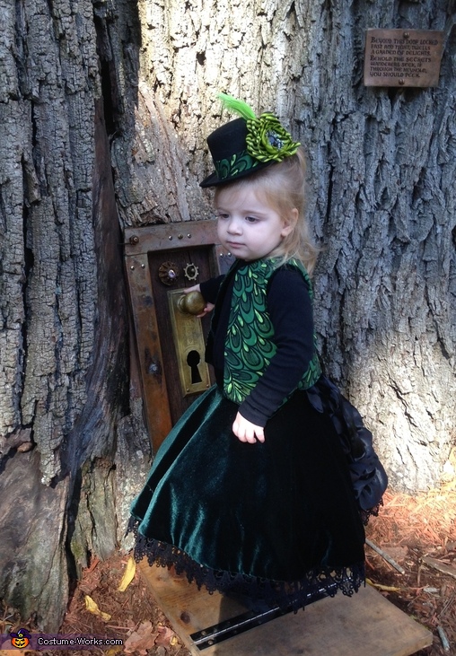 Steampunk Mad Hatter Costume