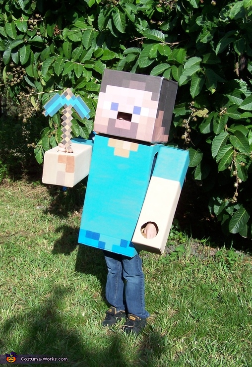 Steve from Minecraft Costume