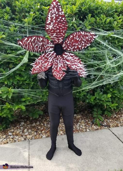 Stranger Things Demogorgon Costume