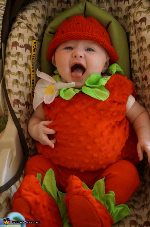 Creative Strawberry Baby Costume | Coolest Cosplay Costumes