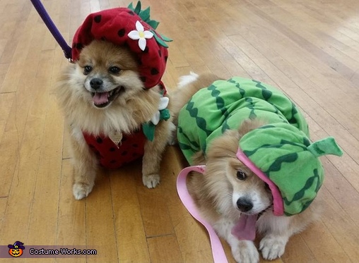 Strawberry & Watermelon Dogs Costumes