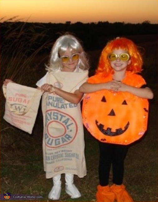 Sugar Cookie   Costume