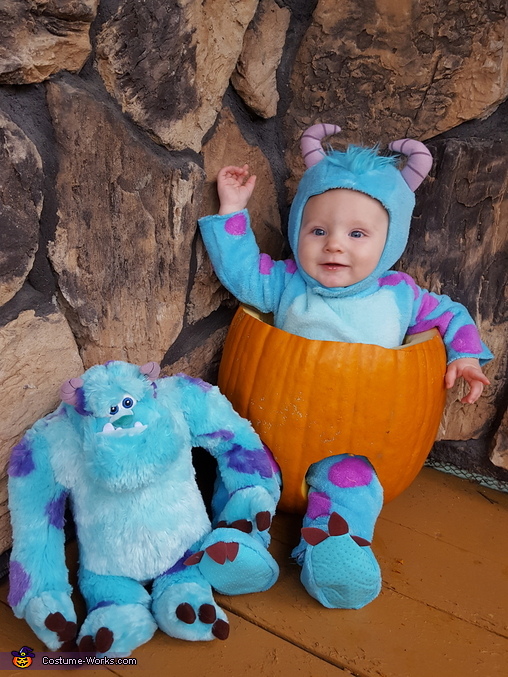 Sulley and Sulley Costume