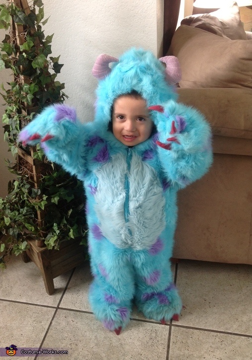 sully monsters inc costume