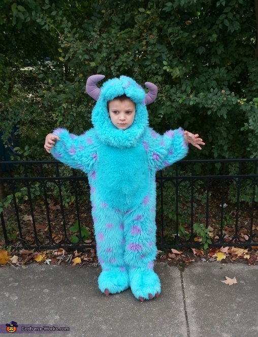 Sullivan monster inc kostuem