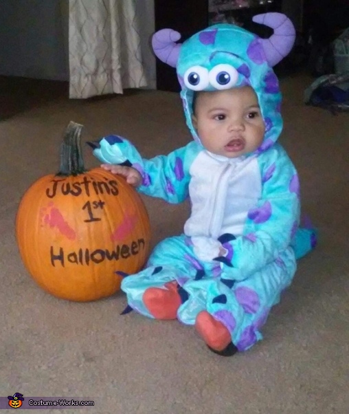 Sully Baby Costume