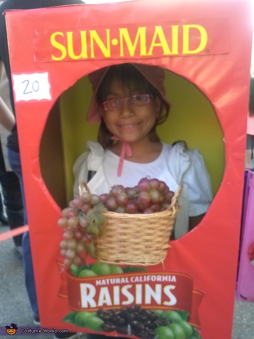 Sun Maid Raisin Box Costume