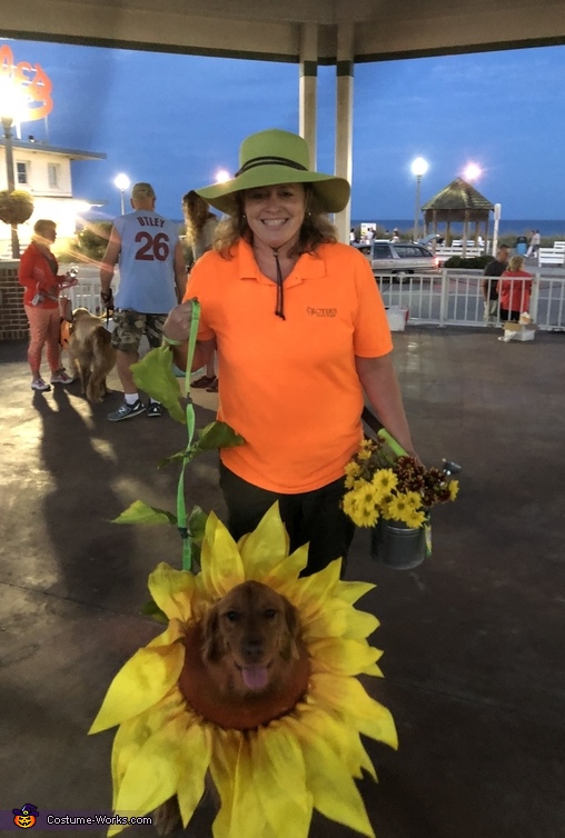 Sunflower Harvest Costume