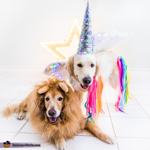 Sunshine the Unicorn and Lion Sidekick Dogs Costume How to Tutorial