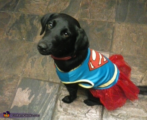 Super Abby Dog Costume