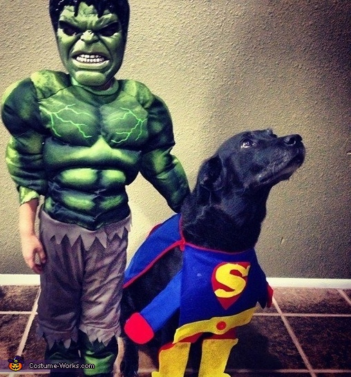 Super Dog Costume
