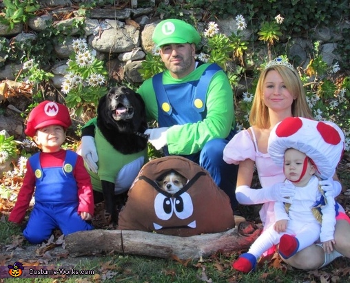 Super Mario Brothers Family Costume