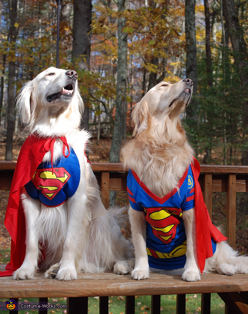 Superheroes Costume