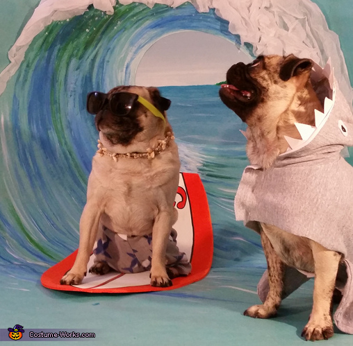 Pugs in bathing on sale suits