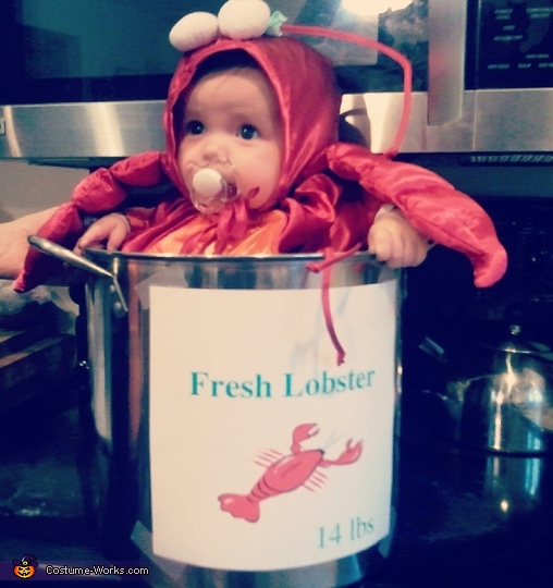 Sweet Little Lobster Costume