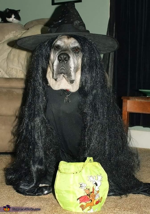 Tabitha the Witch Costume