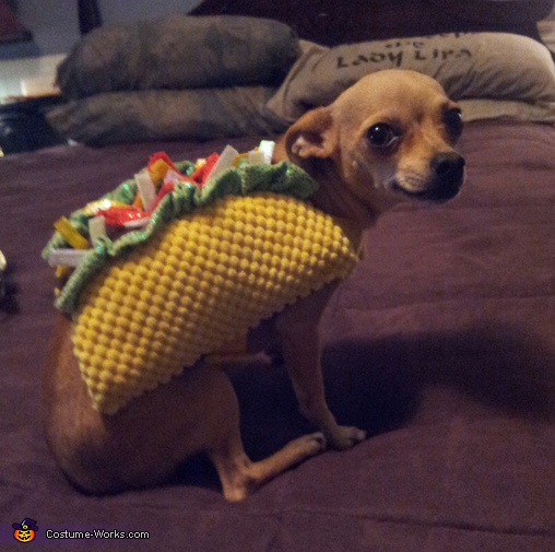 taco costume for dogs