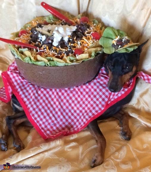 Taco Salad Dog Costume