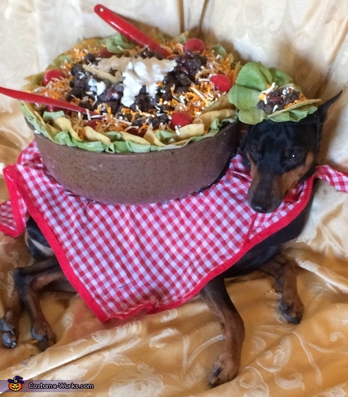 taco dog costume