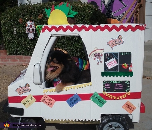 Taco Truck Pomeranian Costume