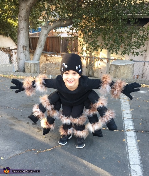 Tarantula Costume | How-To Instructions