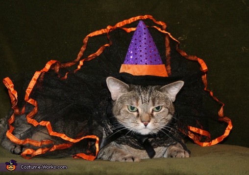 cat witch costume