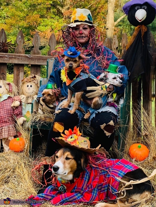 Team Scarecrows Costume